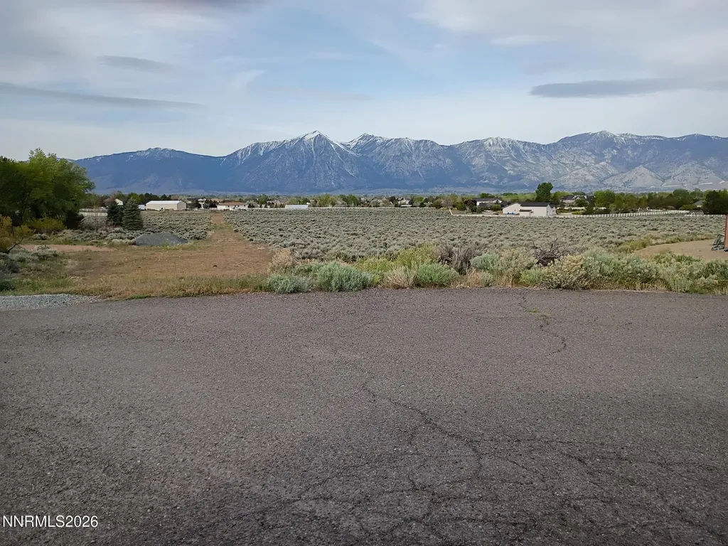1482 Wild Iris Gardnerville NV 89410