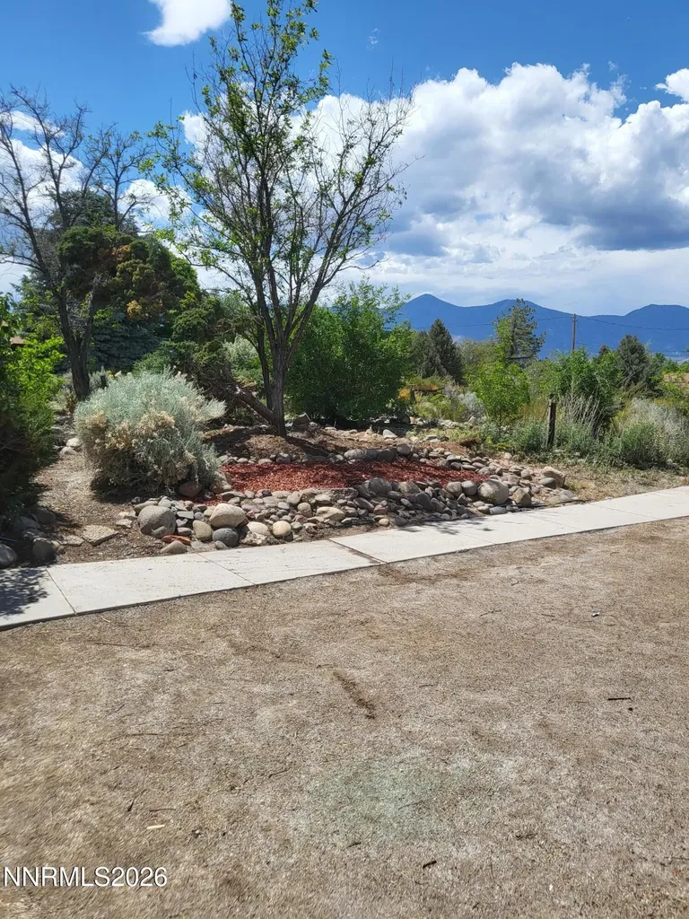 1575 Shirley Minden NV 89423