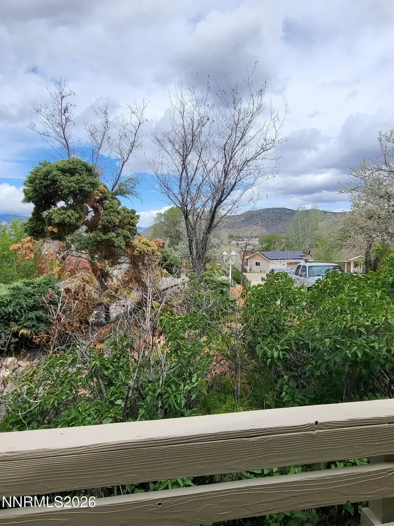 1575 Shirley Minden NV 89423