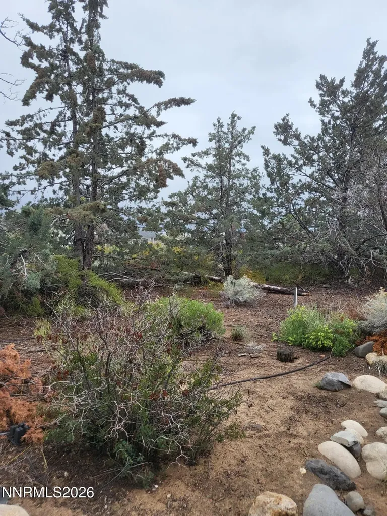 1575 Shirley Minden NV 89423
