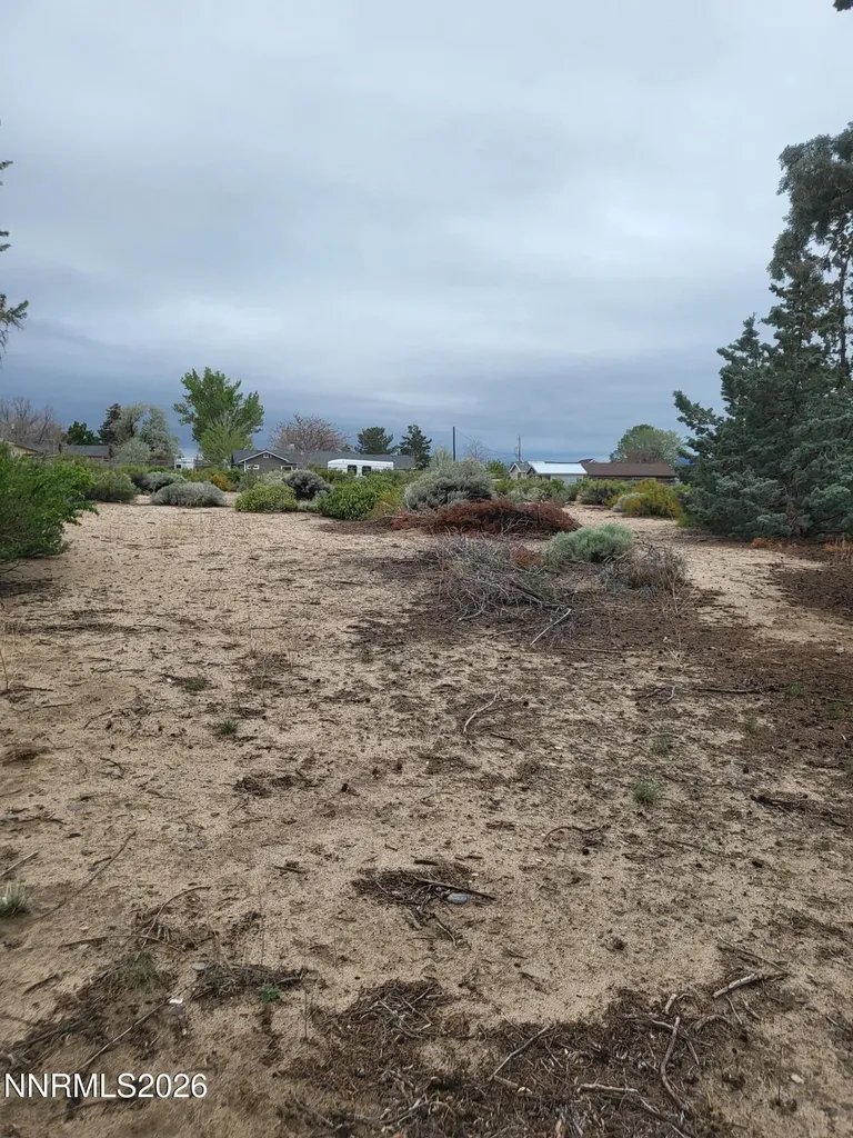 1575 Shirley Minden NV 89423