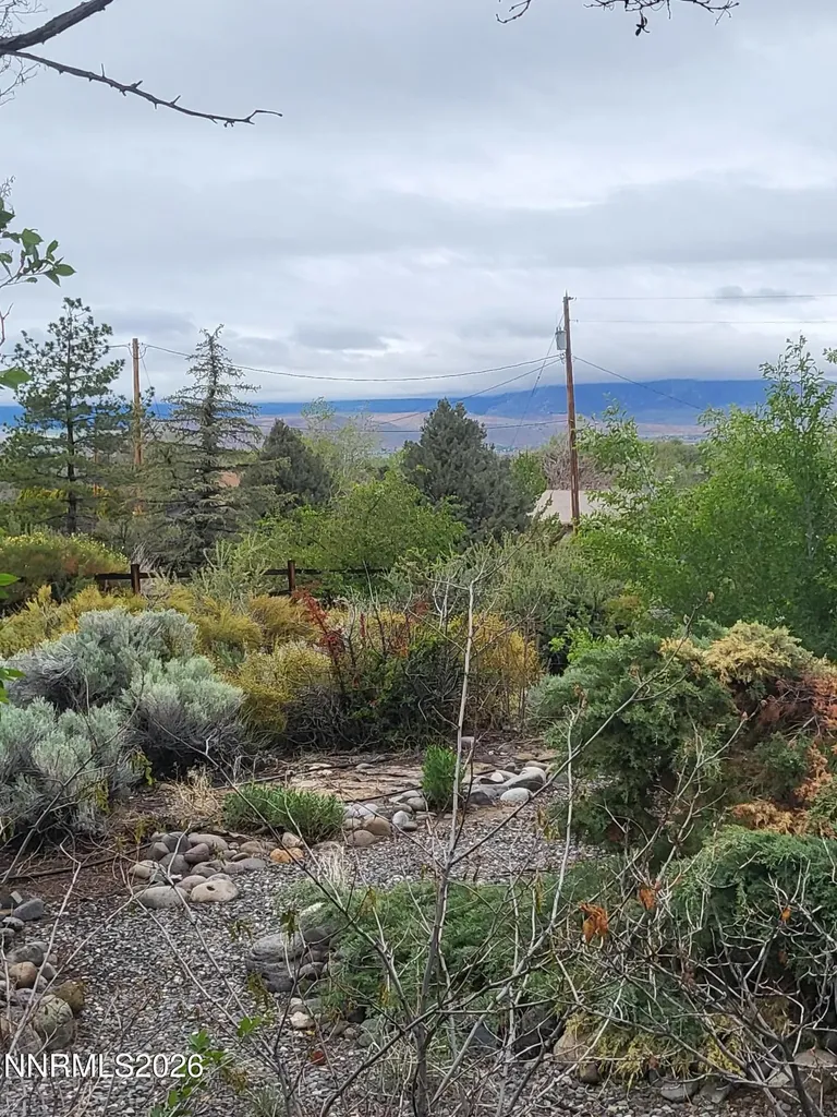 1575 Shirley Minden NV 89423