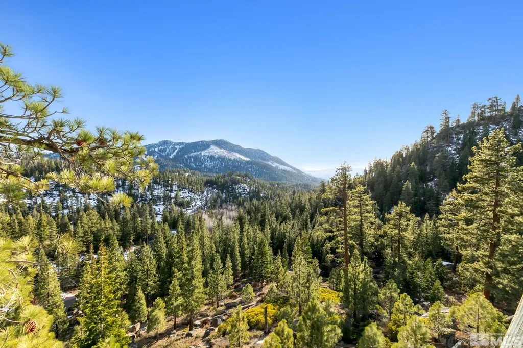 332 Barton Stateline NV 89449