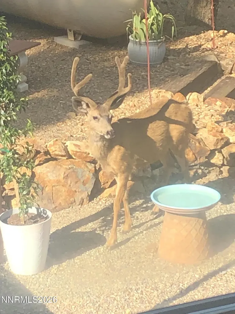 1530 Moss Gardnerville NV 89410