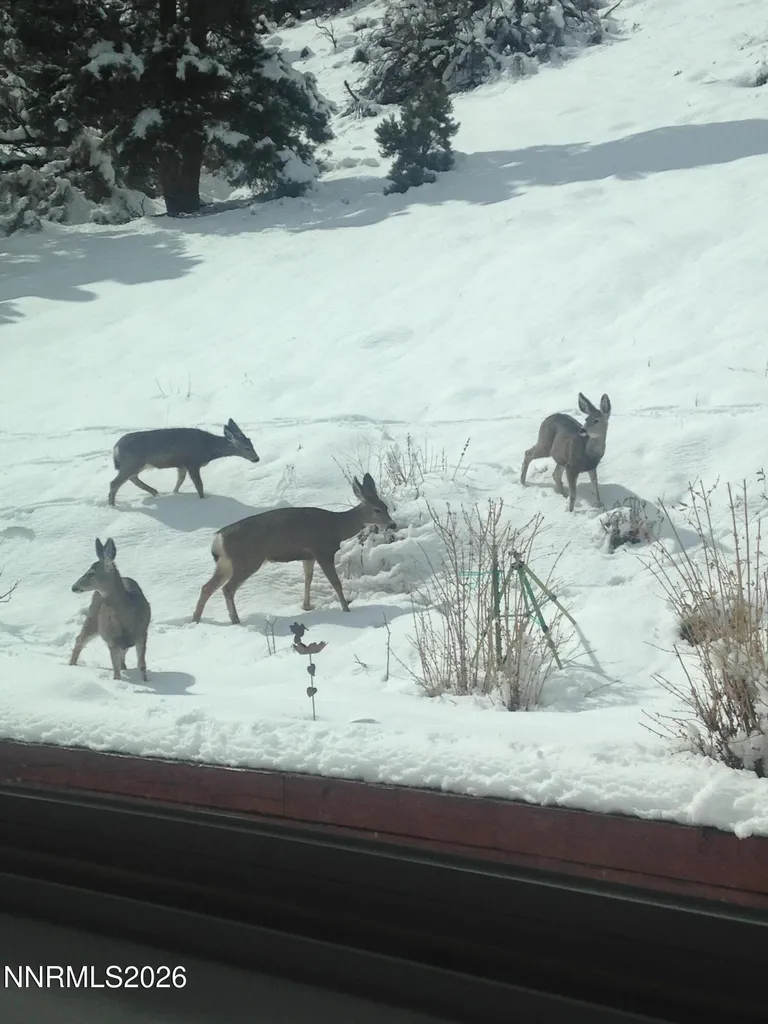 1530 Moss Gardnerville NV 89410