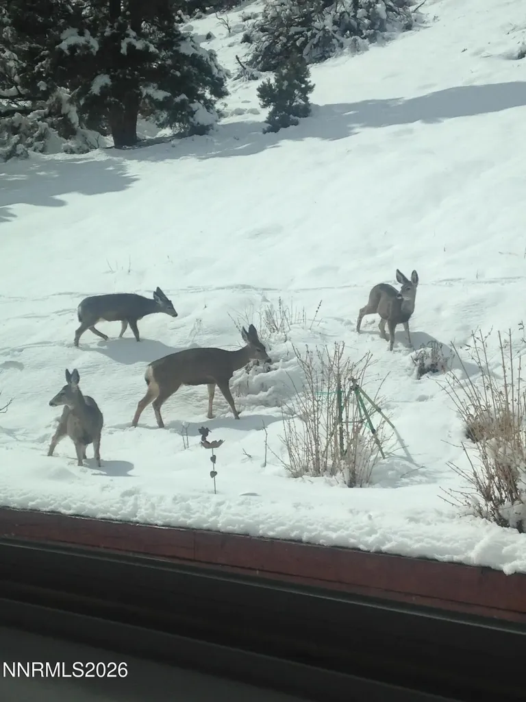 1530 Moss Gardnerville NV 89410