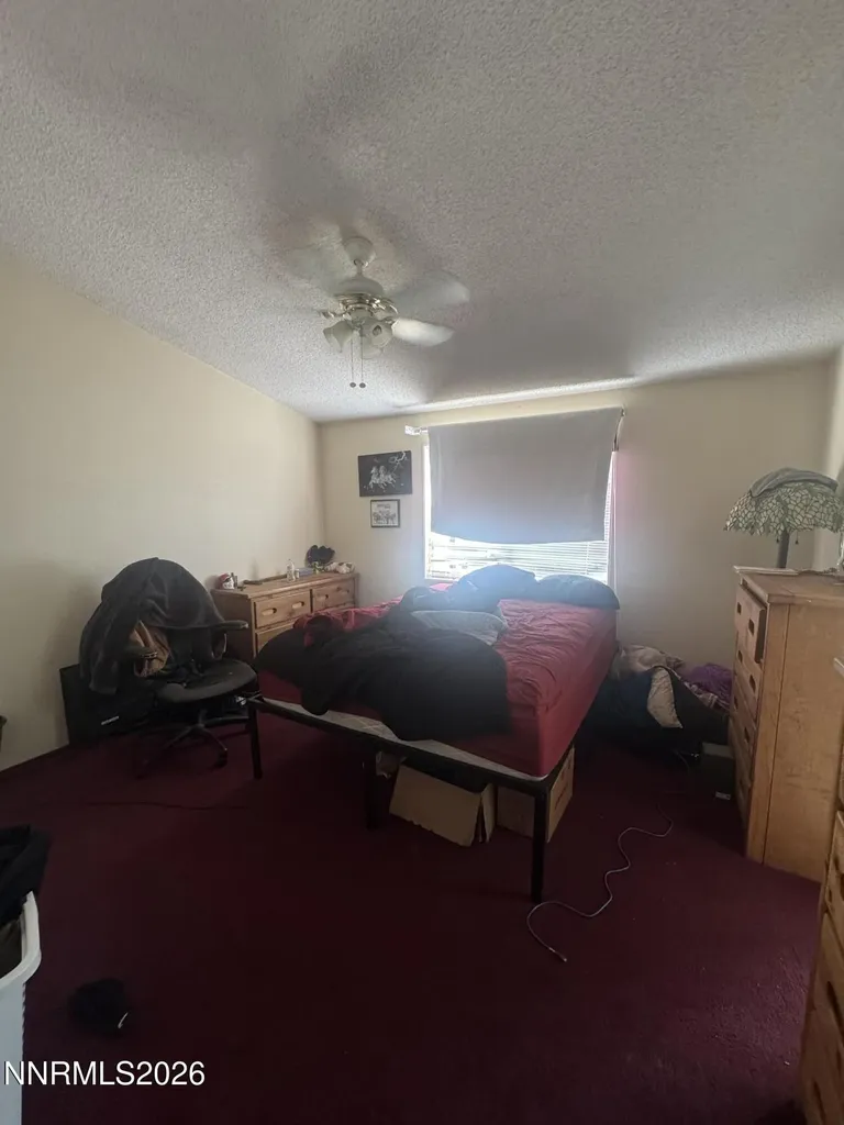 3525 Soda Lake Fallon NV 89406