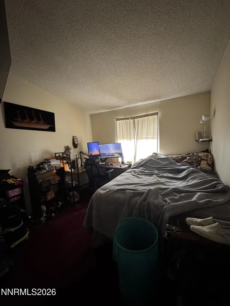 3525 Soda Lake Fallon NV 89406