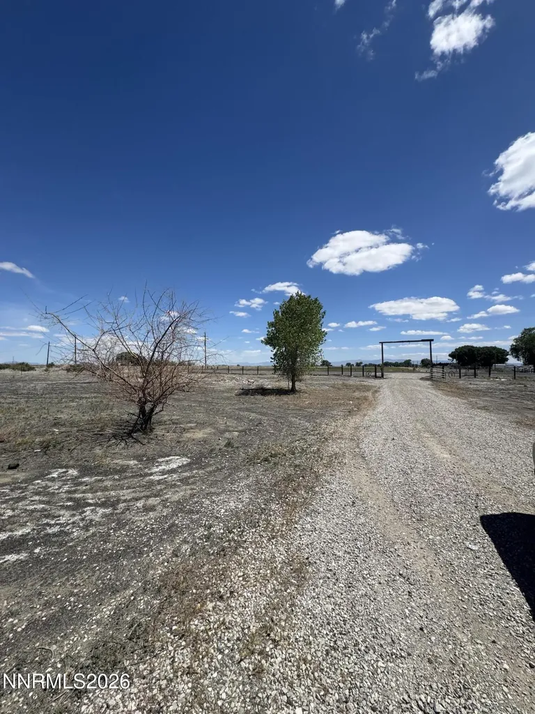 3525 Soda Lake Fallon NV 89406