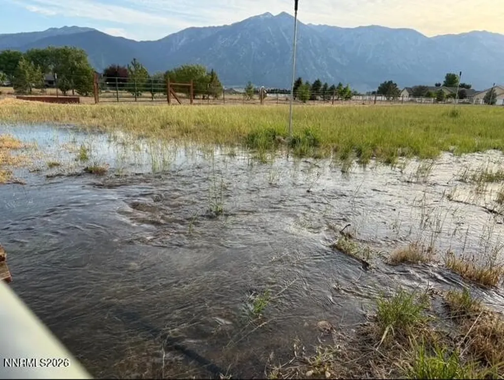 1097 Meadowlark Gardnerville NV 89460