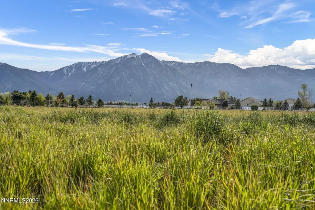 1097 Meadowlark Gardnerville NV 89460