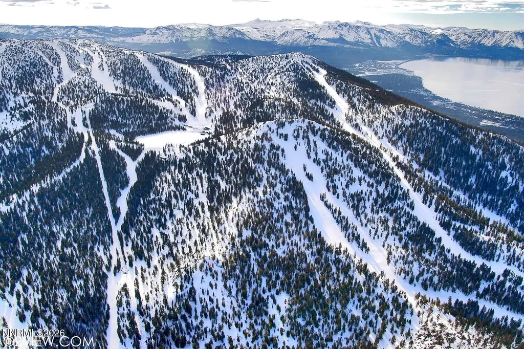 495 Tramway Stateline NV 89449
