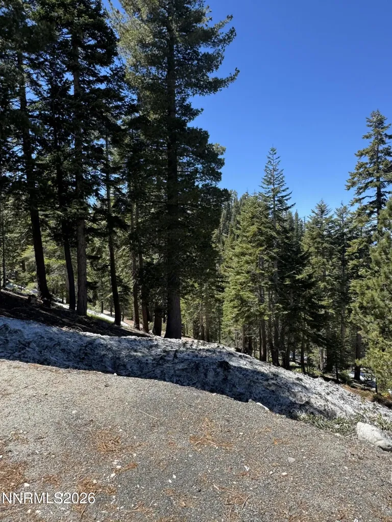 495 Tramway Stateline NV 89449