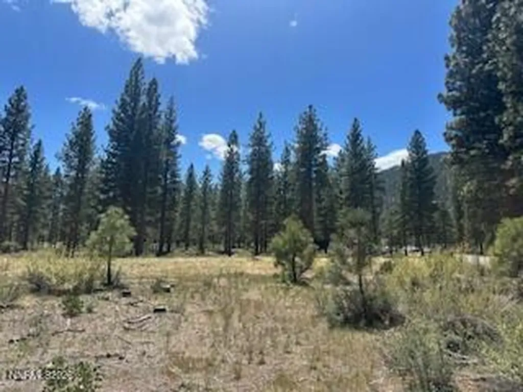 150 Redding Carson City NV 89705