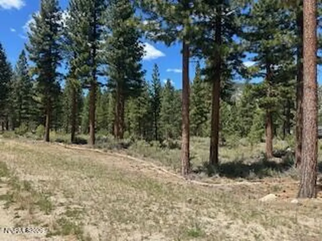 150 Redding Carson City NV 89705
