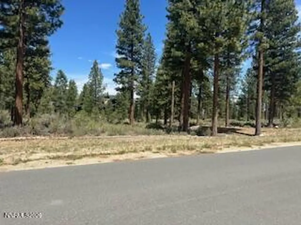 150 Redding Carson City NV 89705