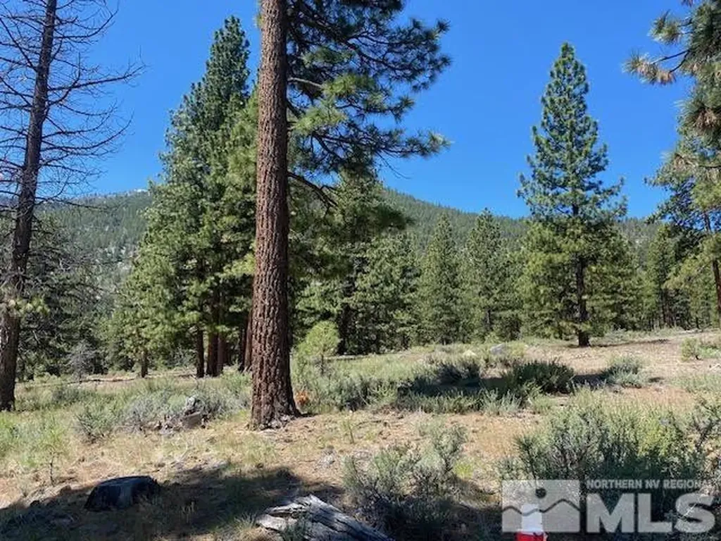 3584 Knob Point Carson City NV 89705