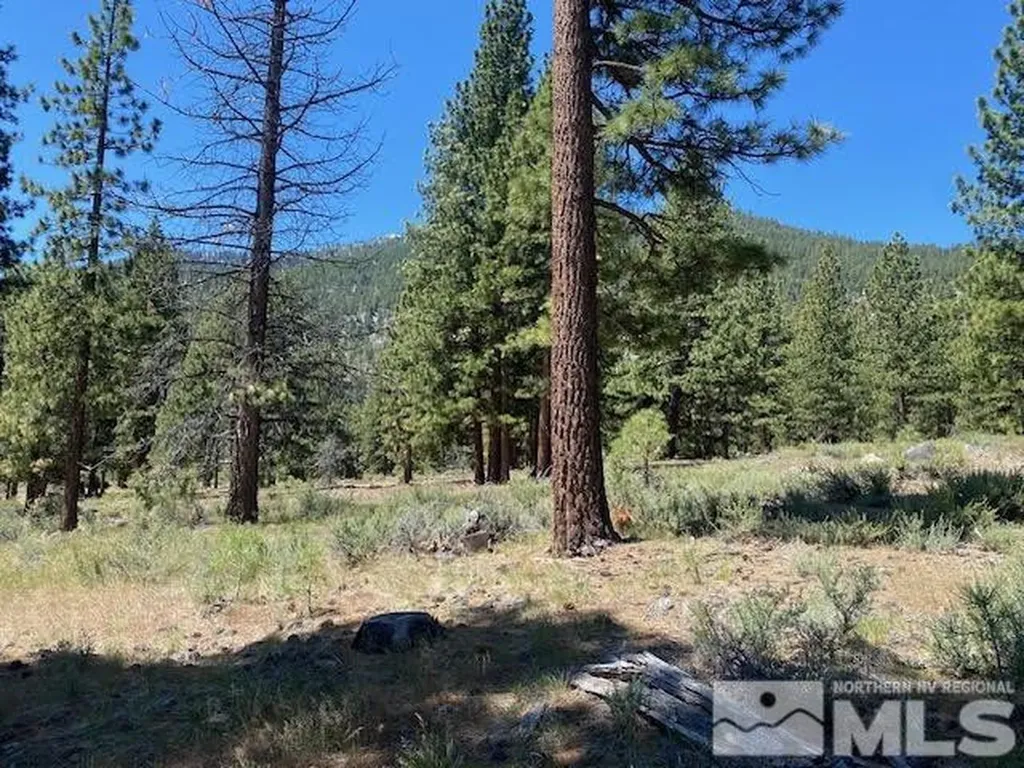 3584 Knob Point Carson City NV 89705