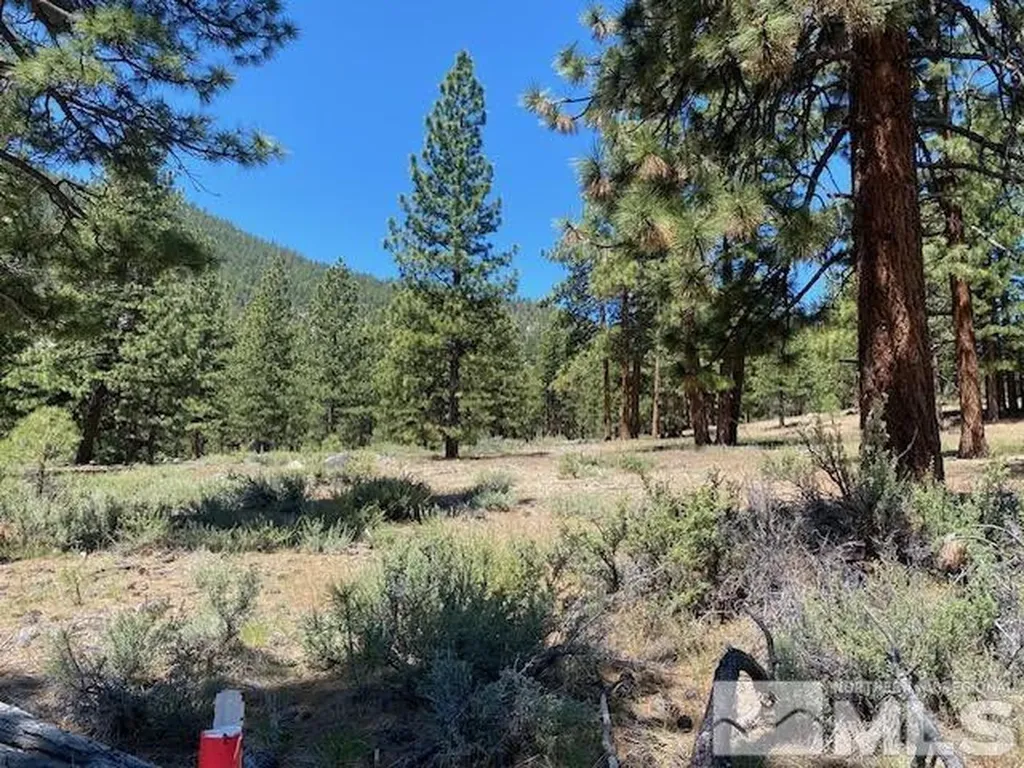 3584 Knob Point Carson City NV 89705