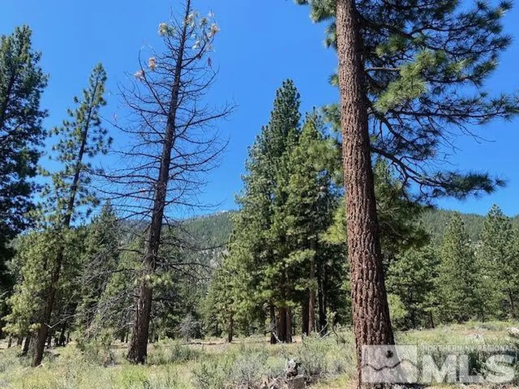 3584 Knob Point Carson City NV 89705