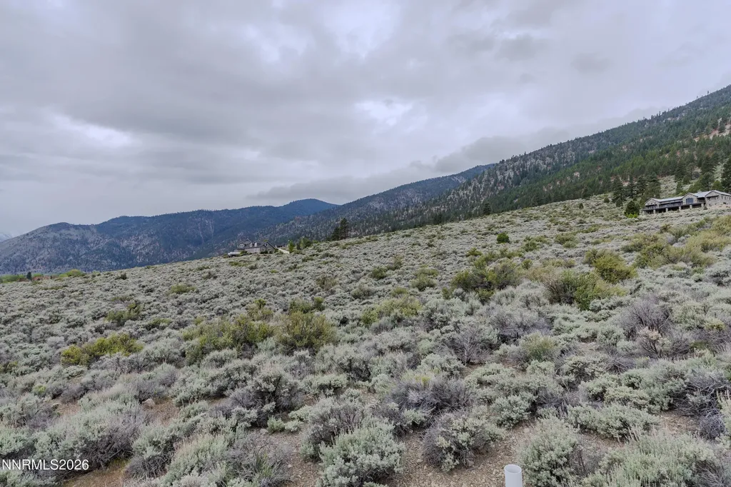 301 Adams Ranch Carson City NV 89706