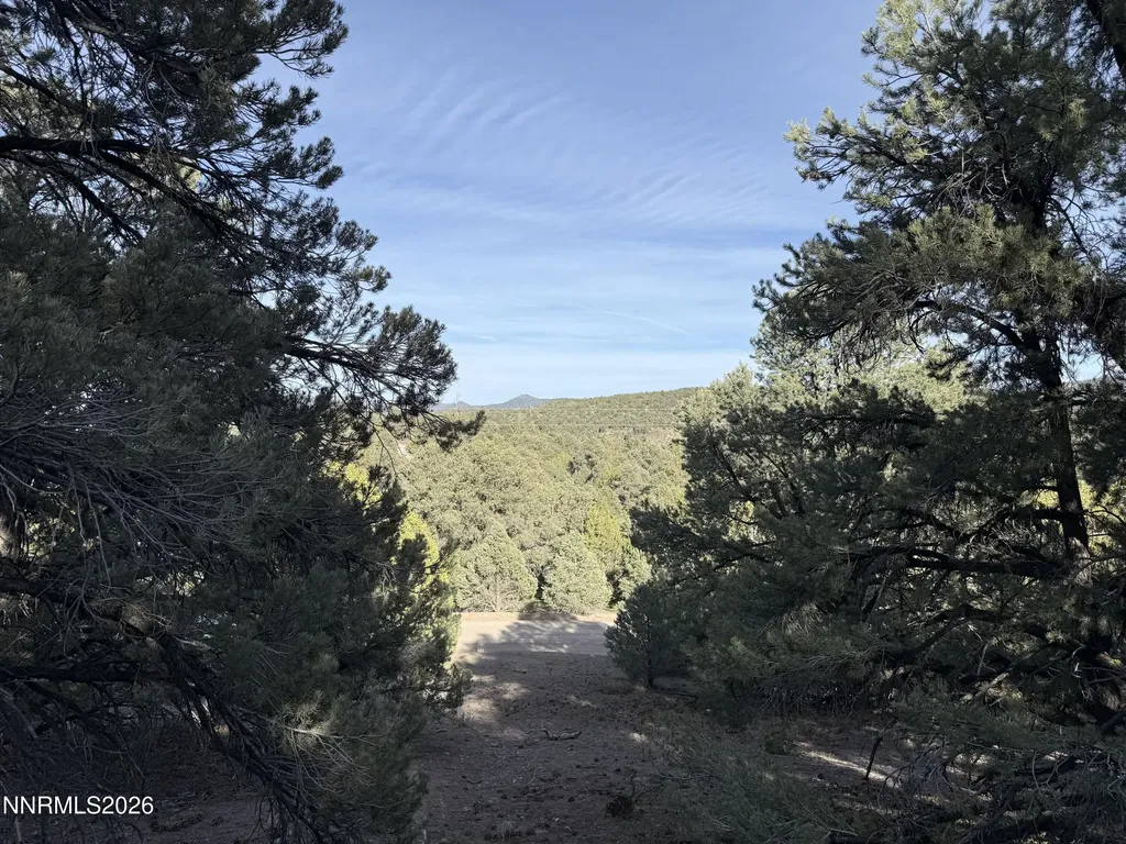 21695 Dortort Reno NV 89521