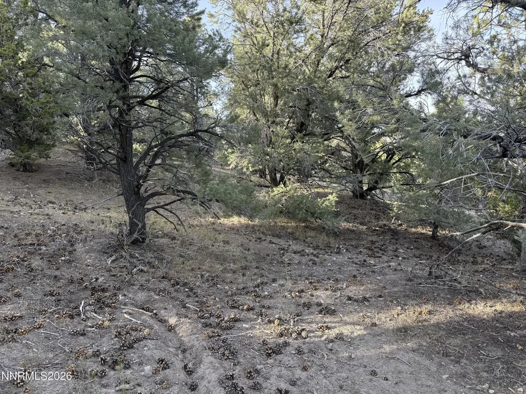 21695 Dortort Reno NV 89521
