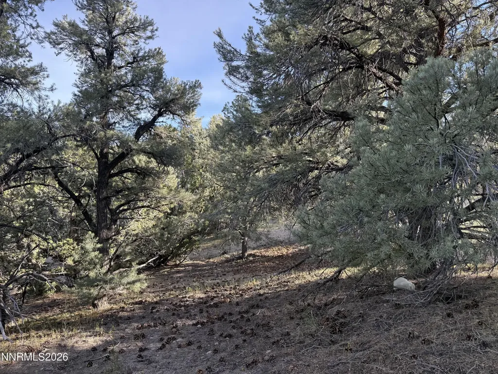 21695 Dortort Reno NV 89521