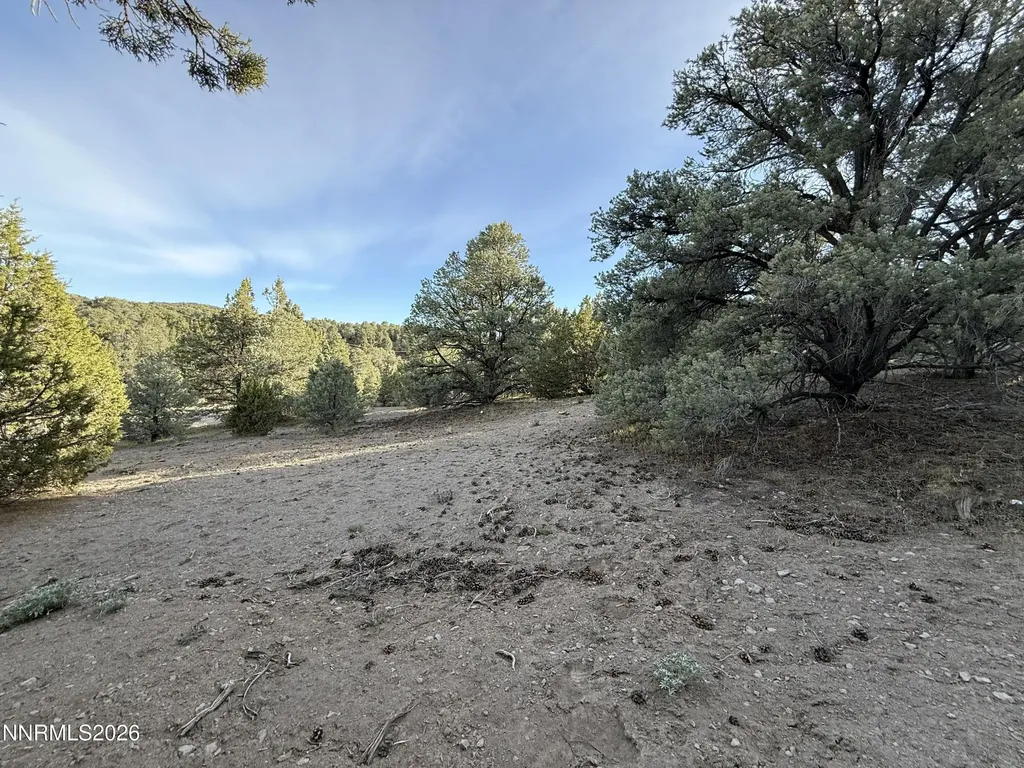 21695 Dortort Reno NV 89521