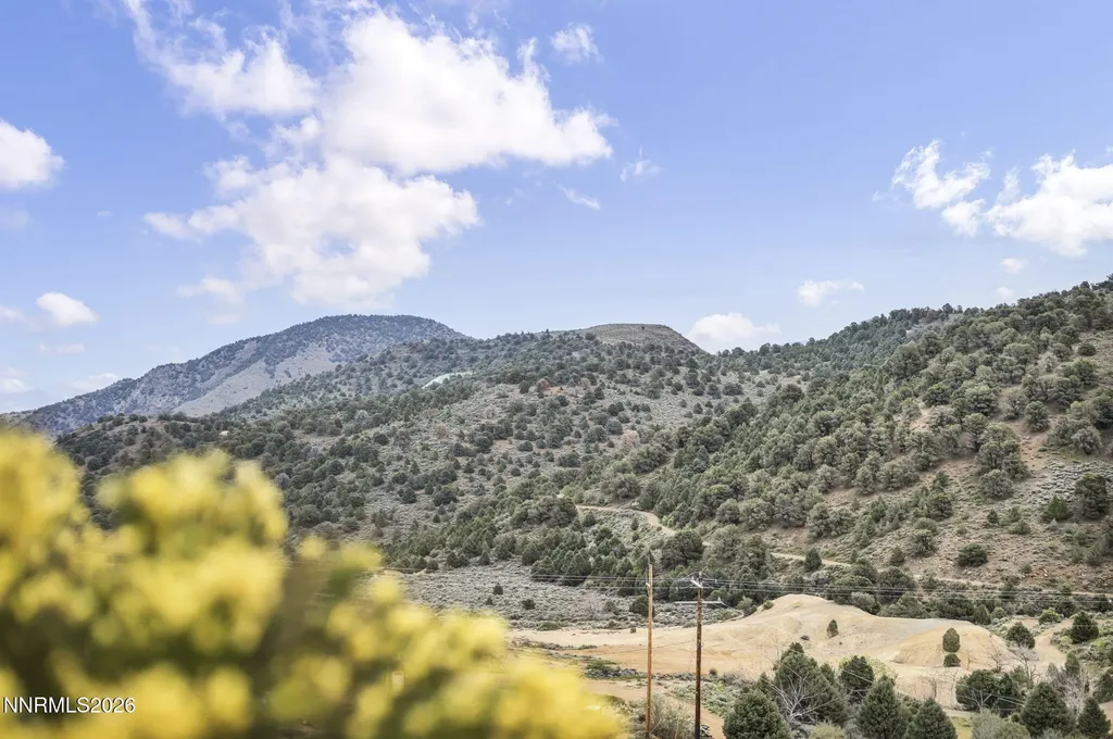 274 L Virginia City NV 89440
