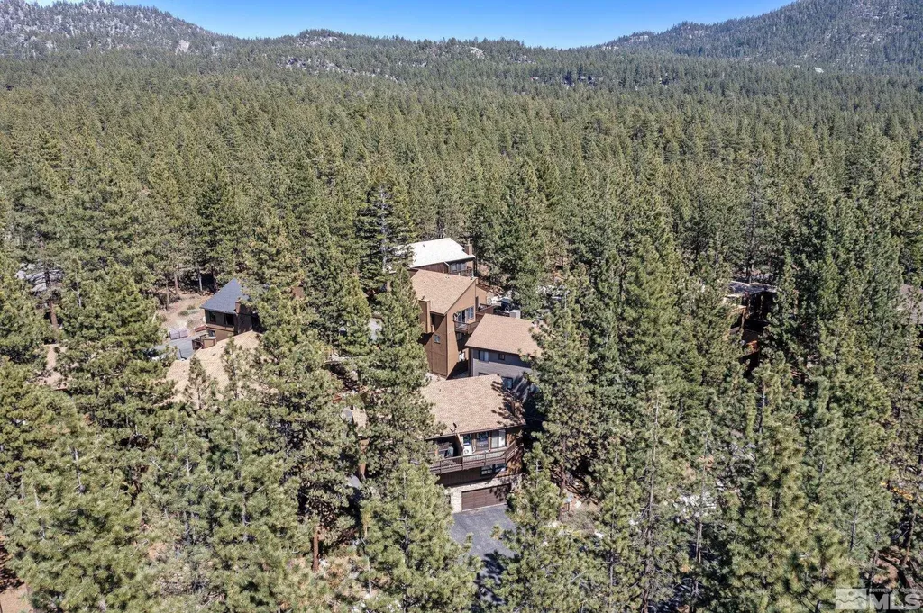 102 Lake Village Stateline NV 89449