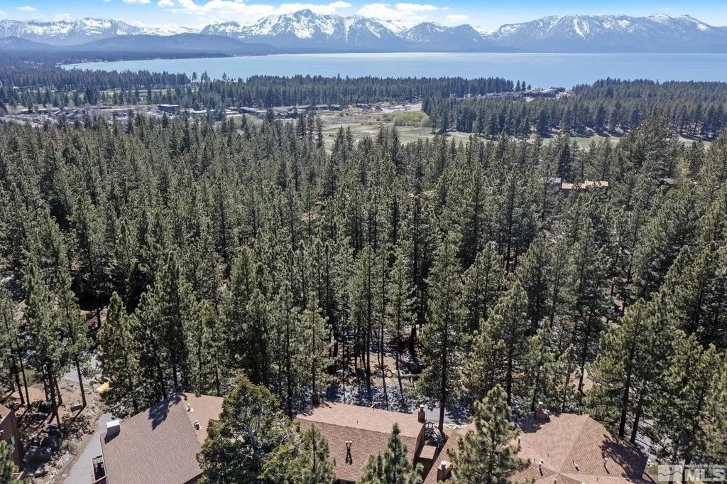 102 Lake Village Stateline NV 89449