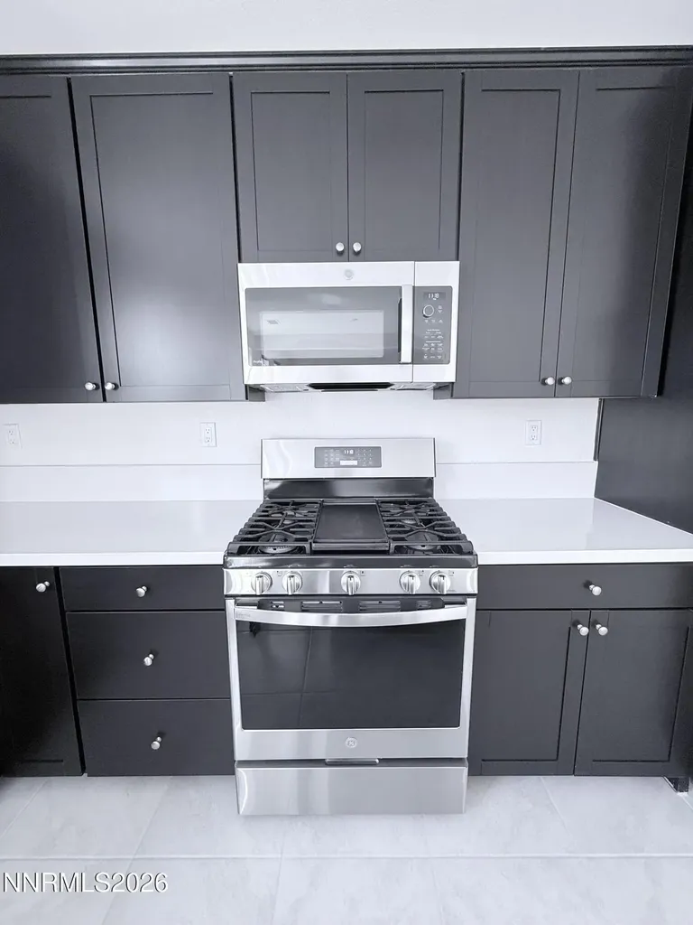 1095 Dapple Minden NV 89423