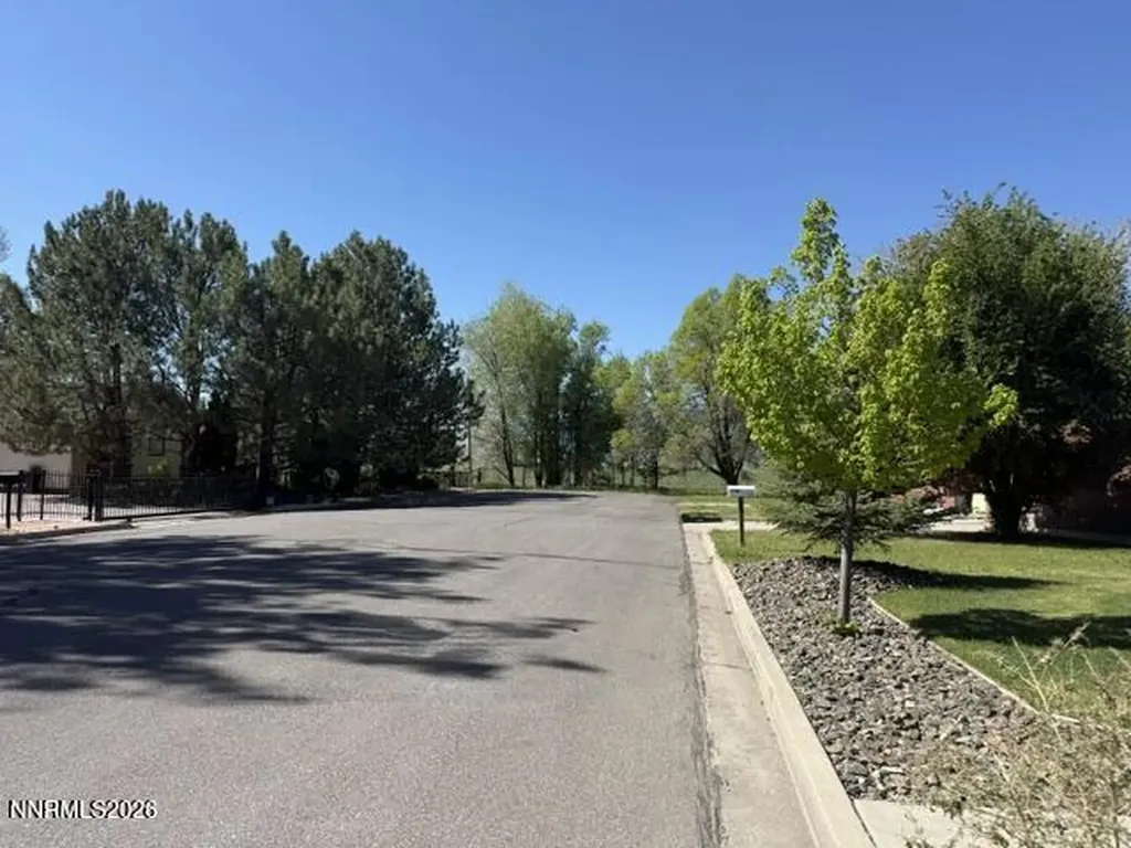 1588 Eighth Street Minden NV 89423
