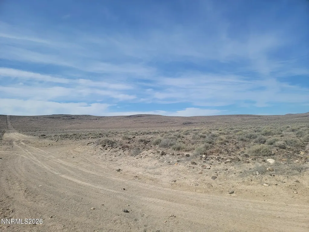 3375 Lizzie Silver Springs NV 89429