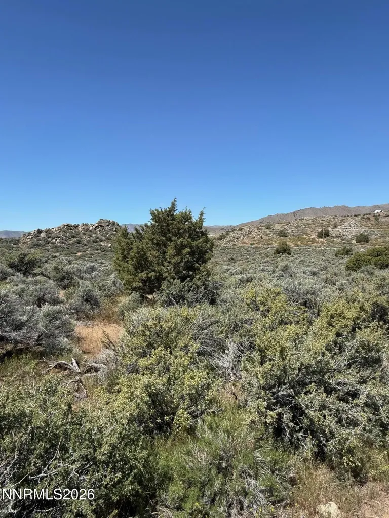 Reno NV, 1325 Antelope Valley