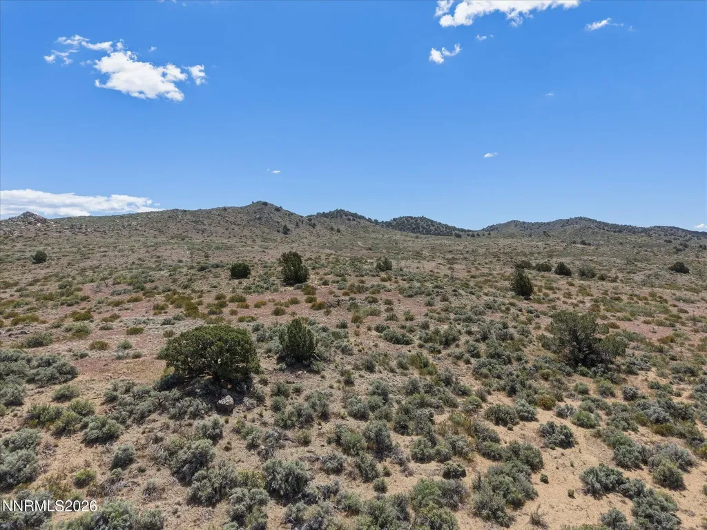 1325 Antelope Valley Reno NV 89506