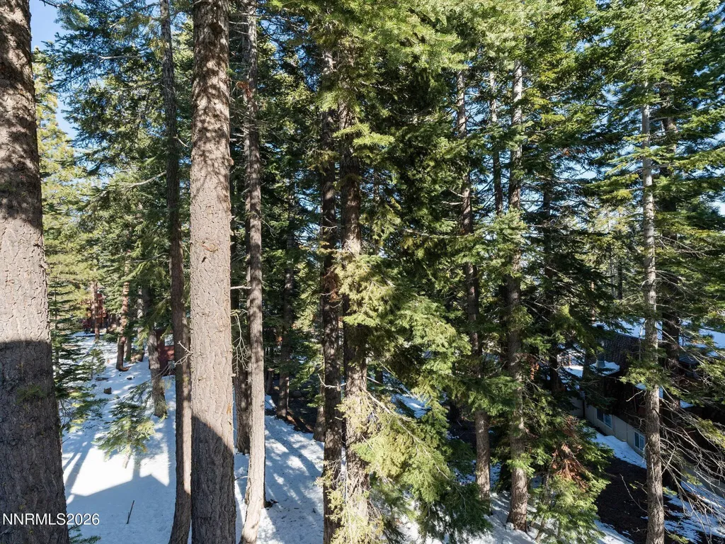 1021 Dorcey Incline Village NV 89451