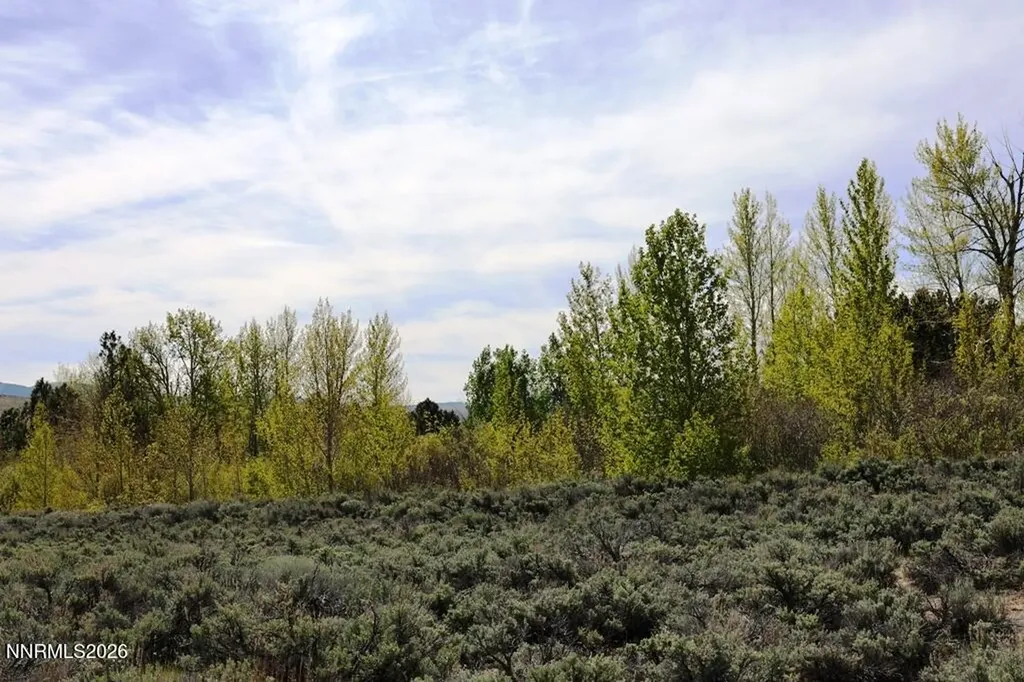 5380 Double Creek Reno NV 89511