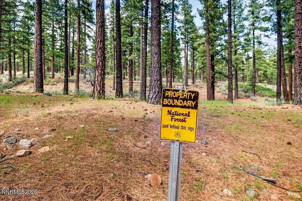 805 Joy Lake Reno NV 89511