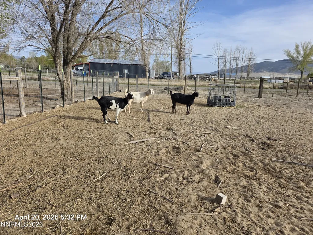 7100 Deer Winnemucca NV 89445
