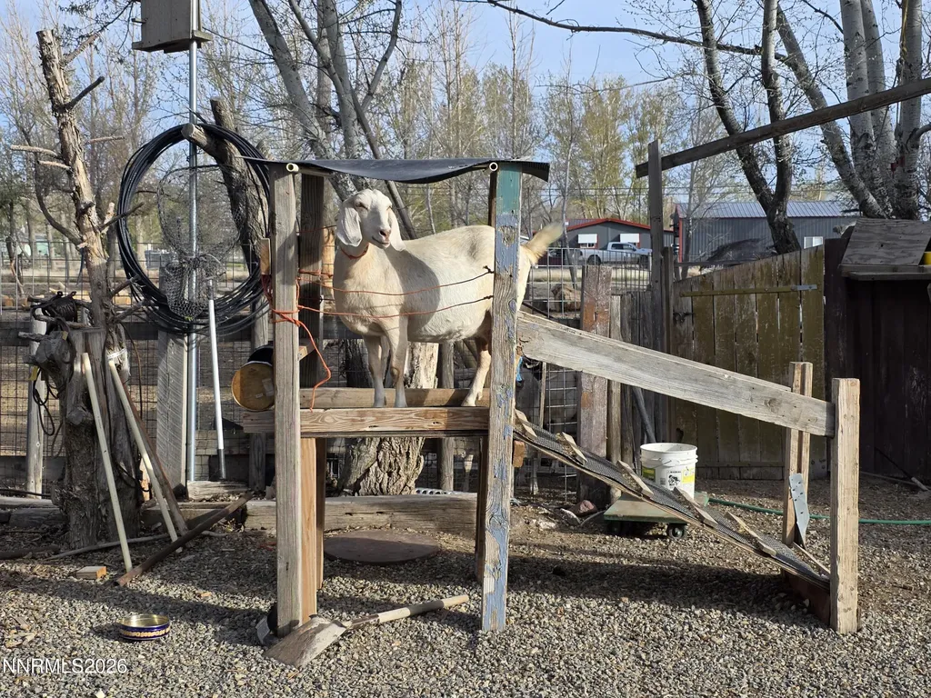 7100 Deer Winnemucca NV 89445