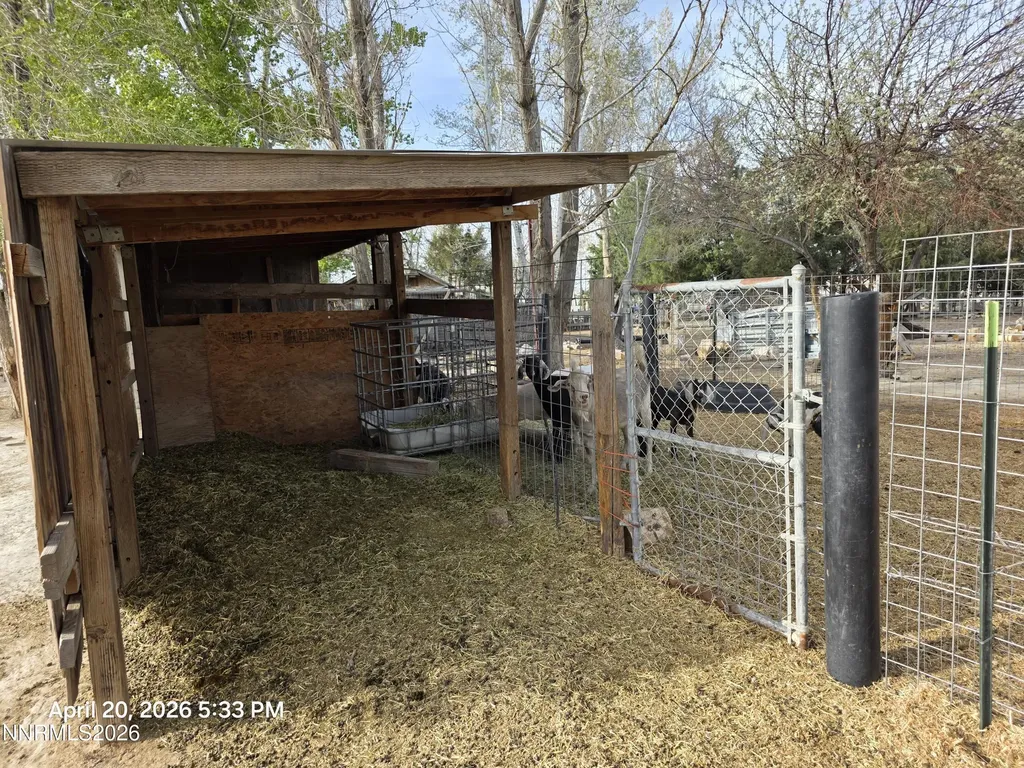 7100 Deer Winnemucca NV 89445