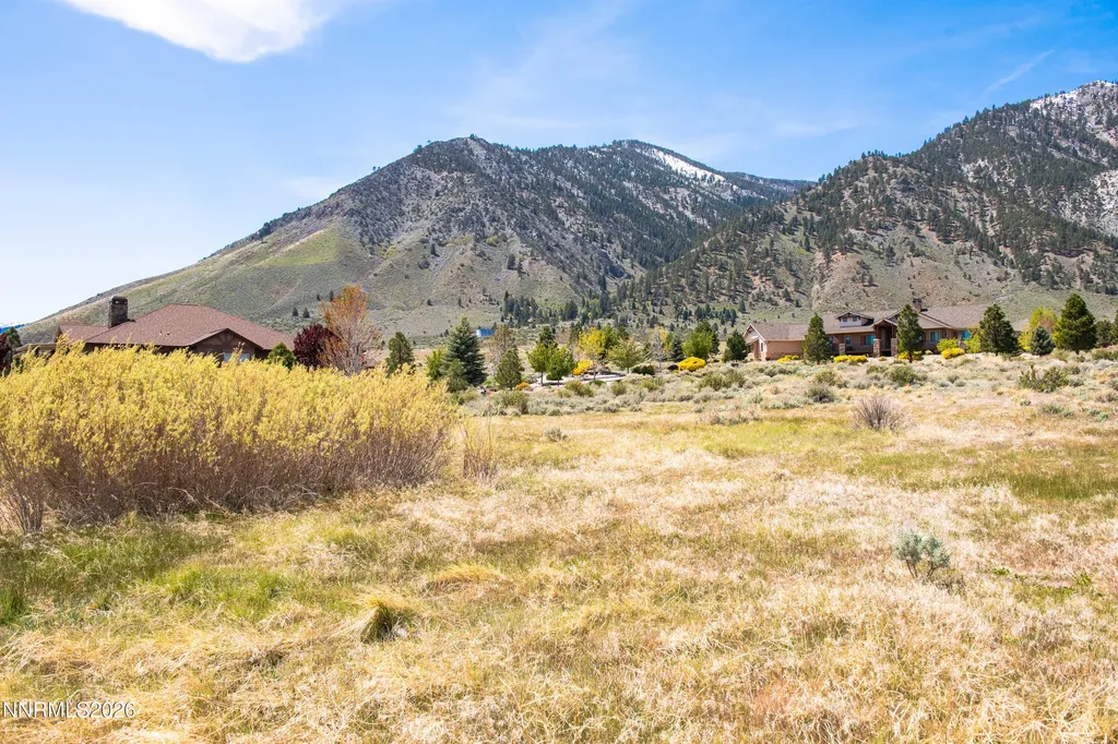 328 James Canyon Genoa NV 89411