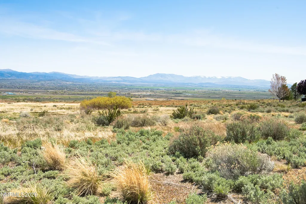 328 James Canyon Genoa NV 89411