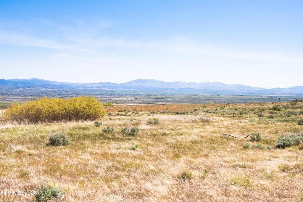328 James Canyon Genoa NV 89411