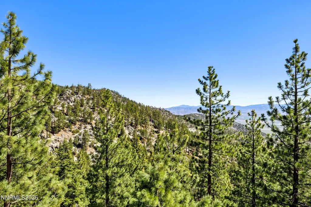 261 Quaking Aspen Stateline NV 89449