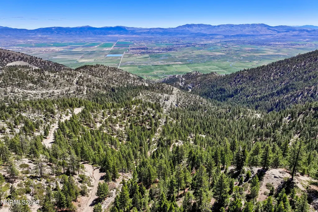 261 Quaking Aspen Stateline NV 89449