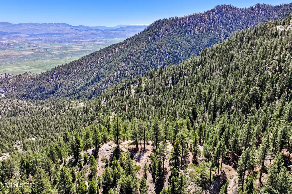 261 Quaking Aspen Stateline NV 89449