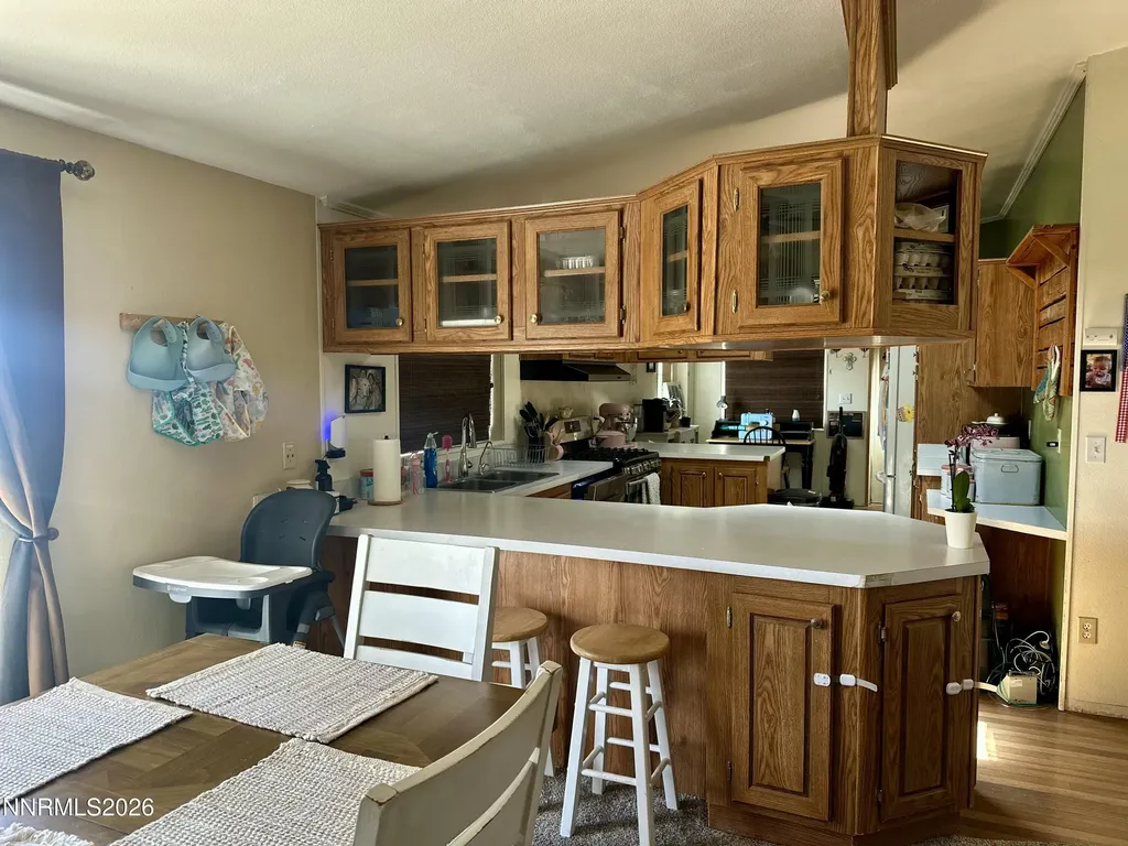 153 Territory Dayton NV 89403